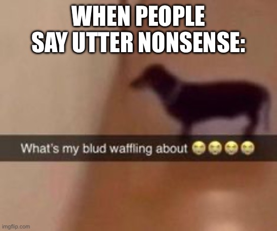 It’s confusing, isn’t it? | WHEN PEOPLE SAY UTTER NONSENSE: | image tagged in what's my blud waffling about | made w/ Imgflip meme maker