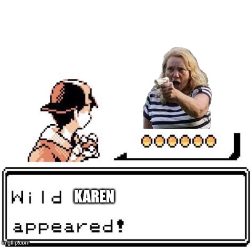 Blank Wild Pokemon Appears | KAREN | image tagged in blank wild pokemon appears | made w/ Imgflip meme maker