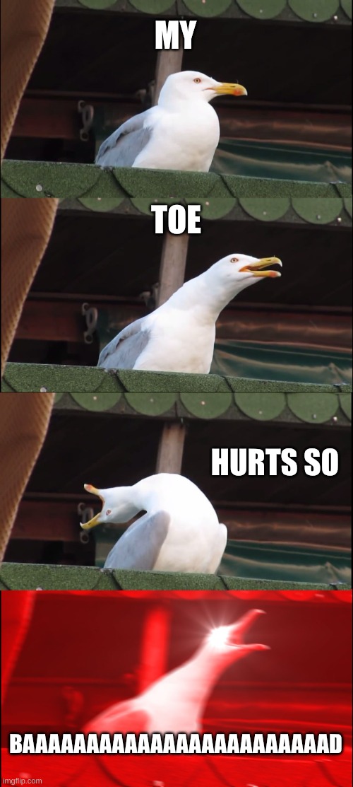 Inhaling Seagull Meme | MY TOE HURTS SO BAAAAAAAAAAAAAAAAAAAAAAAAD | image tagged in memes,inhaling seagull | made w/ Imgflip meme maker