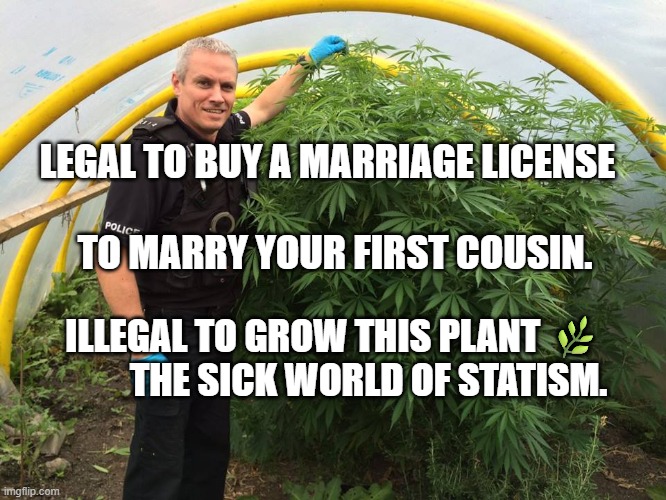 Police Weed Cannabis Stoned  | LEGAL TO BUY A MARRIAGE LICENSE                                     
   TO MARRY YOUR FIRST COUSIN. ILLEGAL TO GROW THIS PLANT 🌿            THE SICK WORLD OF STATISM. | image tagged in police weed cannabis stoned | made w/ Imgflip meme maker