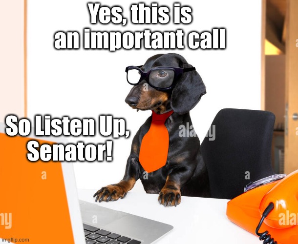 Dachshund Impt Call | Yes, this is an important call; So Listen Up, 
Senator! | image tagged in listen up,dachshund call | made w/ Imgflip meme maker