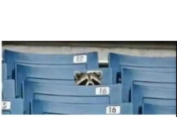 One person Blank Meme Template