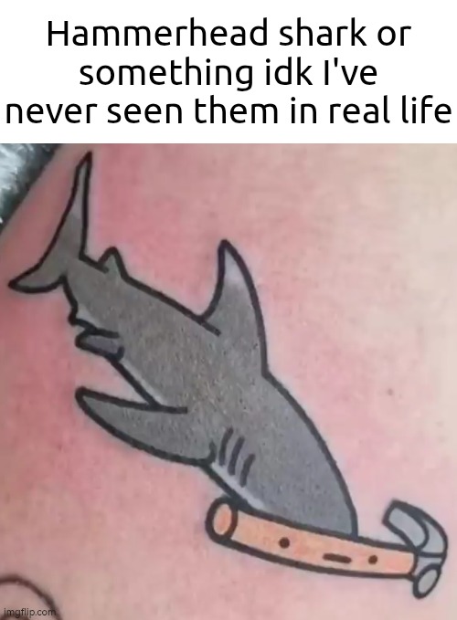 Is this how Hammerhead shark looks like? | Hammerhead shark or something idk I've never seen them in real life | image tagged in or something idk,shark | made w/ Imgflip meme maker