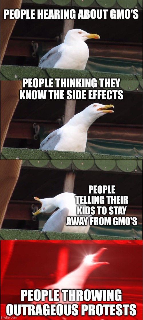 Inhaling Seagull | PEOPLE HEARING ABOUT GMO'S; PEOPLE THINKING THEY KNOW THE SIDE EFFECTS; PEOPLE TELLING THEIR KIDS TO STAY AWAY FROM GMO'S; PEOPLE THROWING OUTRAGEOUS PROTESTS | image tagged in memes,inhaling seagull | made w/ Imgflip meme maker