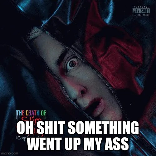 death of slim shady | OH SHIT SOMETHING WENT UP MY ASS | image tagged in death of slim shady | made w/ Imgflip meme maker