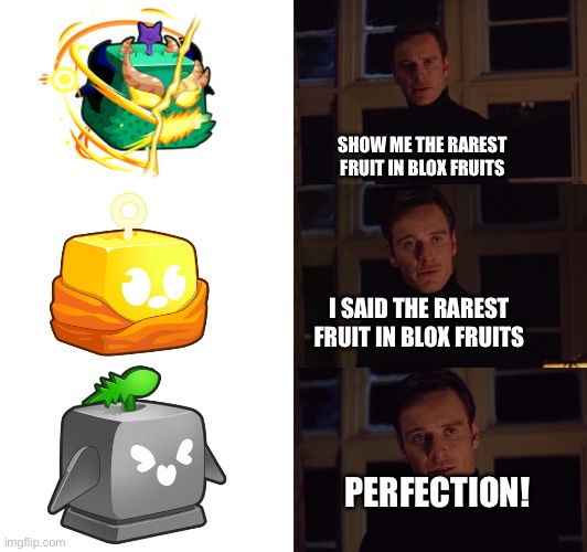 How come I never get rocket | SHOW ME THE RAREST FRUIT IN BLOX FRUITS; I SAID THE RAREST FRUIT IN BLOX FRUITS; PERFECTION! | image tagged in perfection | made w/ Imgflip meme maker
