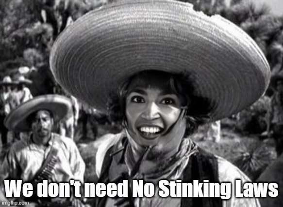 We don't need No Stinking Laws | made w/ Imgflip meme maker