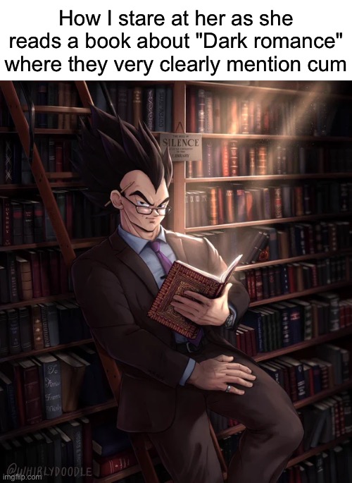 Said from personal experience | How I stare at her as she reads a book about "Dark romance" where they very clearly mention cum | image tagged in librarian vegeta,msmg | made w/ Imgflip meme maker