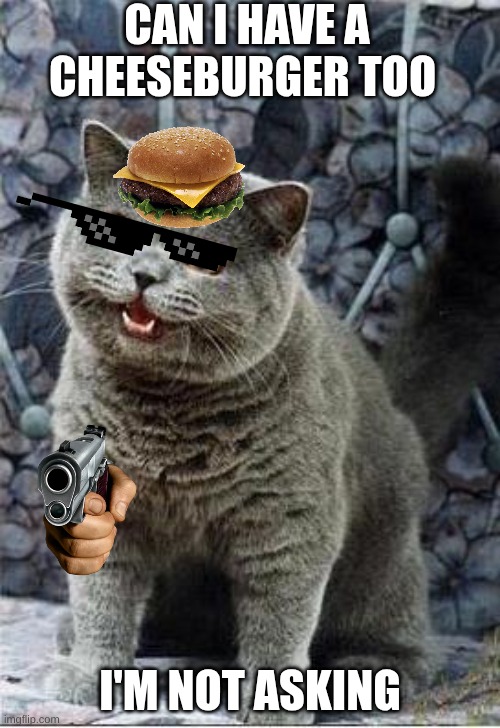 I can has cheezburger cat | CAN I HAVE A CHEESEBURGER TOO; I'M NOT ASKING | image tagged in i can has cheezburger cat | made w/ Imgflip meme maker