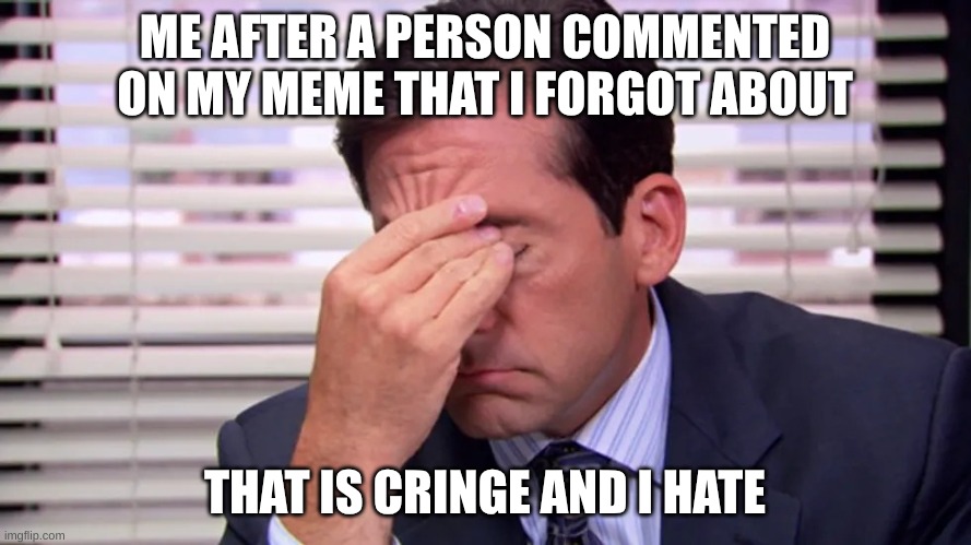 Michael Scott Frustrated | ME AFTER A PERSON COMMENTED ON MY MEME THAT I FORGOT ABOUT THAT IS CRINGE AND I HATE | image tagged in michael scott frustrated | made w/ Imgflip meme maker