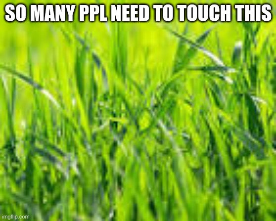 I'm touching grass rn | SO MANY PPL NEED TO TOUCH THIS | made w/ Imgflip meme maker