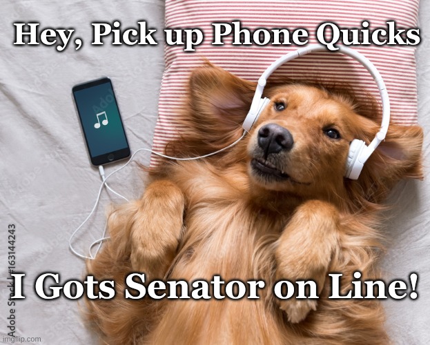 Pick Up Quick | Hey, Pick up Phone Quicks; I Gots Senator on Line! | image tagged in golden with headphones | made w/ Imgflip meme maker