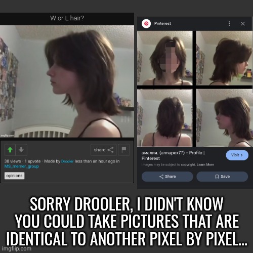 It was like always that someone on msmg faked their identity with pics from other sites | SORRY DROOLER, I DIDN'T KNOW YOU COULD TAKE PICTURES THAT ARE IDENTICAL TO ANOTHER PIXEL BY PIXEL... | made w/ Imgflip meme maker