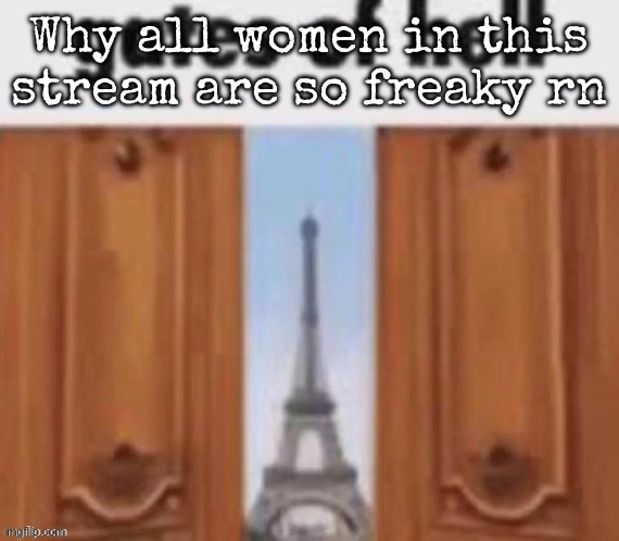 The gates of hell | Why all women in this stream are so freaky rn | image tagged in the gates of hell,msmg | made w/ Imgflip meme maker