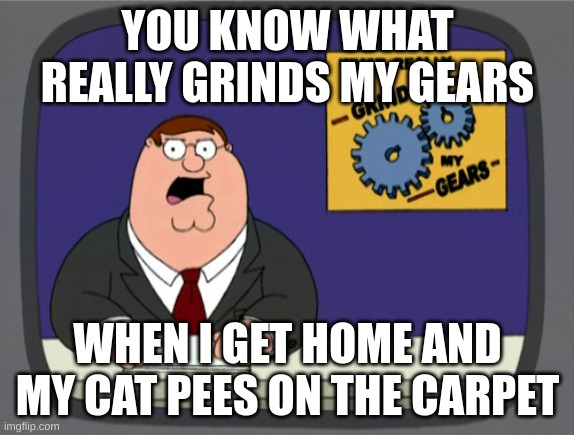 Peter Griffin News | YOU KNOW WHAT REALLY GRINDS MY GEARS; WHEN I GET HOME AND MY CAT PEES ON THE CARPET | image tagged in memes,peter griffin news | made w/ Imgflip meme maker