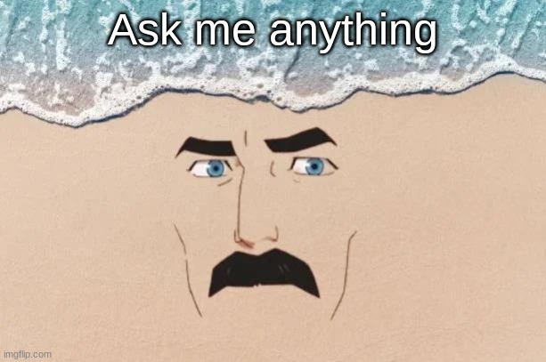 Are You Shore | Ask me anything | image tagged in are you shore | made w/ Imgflip meme maker