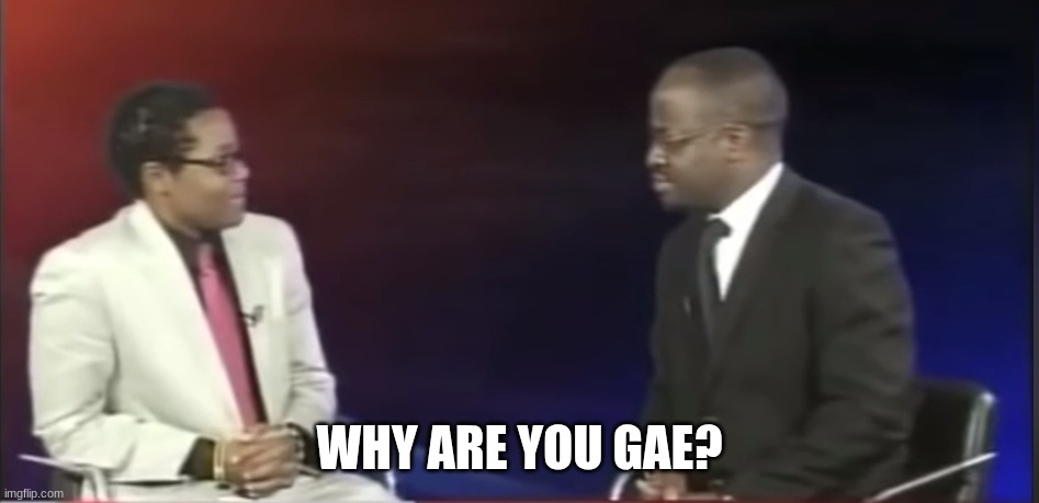 Why are you gae? | WHY ARE YOU GAE? | image tagged in why are you gae | made w/ Imgflip meme maker