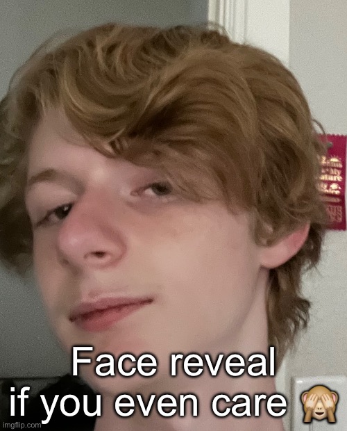 Finna kms | Face reveal if you even care 🙈 | made w/ Imgflip meme maker