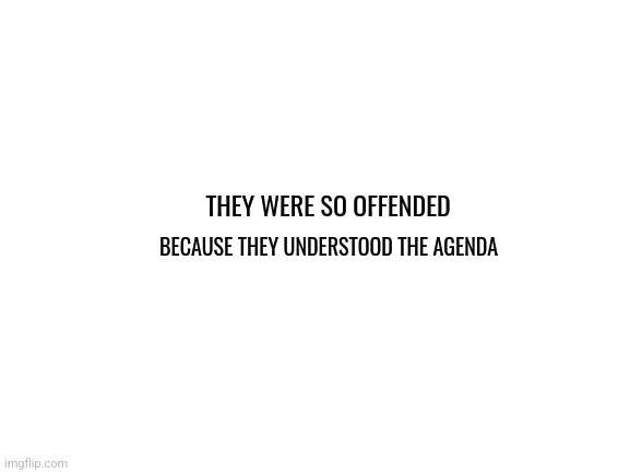Blank White Template | THEY WERE SO OFFENDED; BECAUSE THEY UNDERSTOOD THE AGENDA | image tagged in random,the truth | made w/ Imgflip meme maker