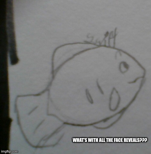 a normal fish with eyebrows | WHAT'S WITH ALL THE FACE REVEALS??? | made w/ Imgflip meme maker