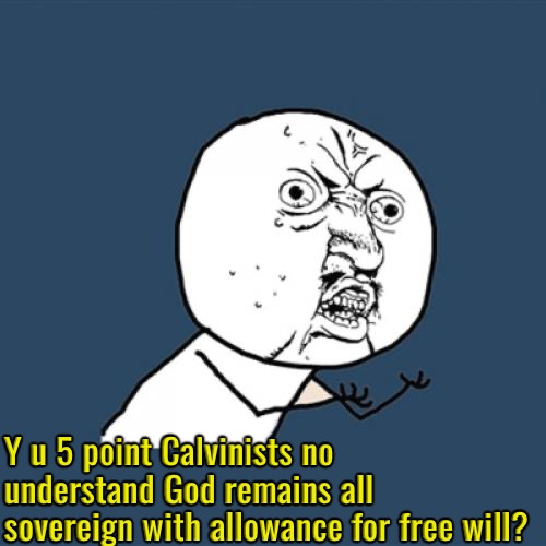 Y U No | Y u 5 point Calvinists no understand God remains all sovereign with allowance for free will? | image tagged in y u no,calvinism,arminian,molinism,reformed theology 5 point calvinists,he didn't need to make ai to stay sovereign | made w/ Imgflip meme maker