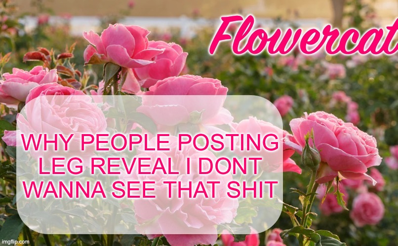 sry for all caps | WHY PEOPLE POSTING LEG REVEAL I DONT WANNA SEE THAT SHIT | image tagged in flowercat template | made w/ Imgflip meme maker