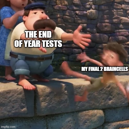 friend: "how'd the test go?" me: "i lost about 100 brain cells and my sanity" | THE END OF YEAR TESTS; MY FINAL 2 BRAINCELLS | image tagged in man throws child into water | made w/ Imgflip meme maker