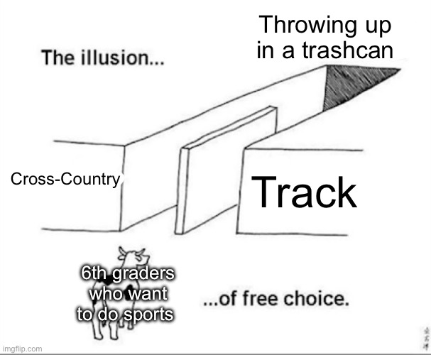 News flash, running sucks | Throwing up in a trashcan; Cross-Country; Track; 6th graders who want to do sports | image tagged in illusion of free choice,running,cross-country,track,middle school,memes | made w/ Imgflip meme maker