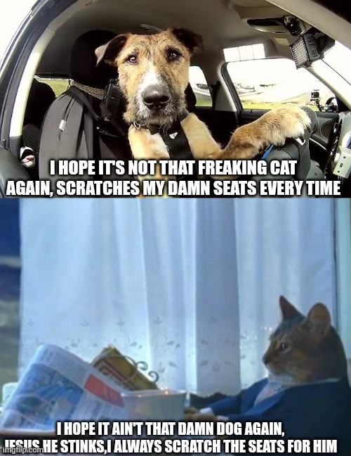 I HOPE IT'S NOT THAT FREAKING CAT AGAIN, SCRATCHES MY DAMN SEATS EVERY TIME; I HOPE IT AIN'T THAT DAMN DOG AGAIN, JESUS HE STINKS,I ALWAYS SCRATCH THE SEATS FOR HIM | image tagged in uber driver replacement,memes,i should buy a boat cat | made w/ Imgflip meme maker