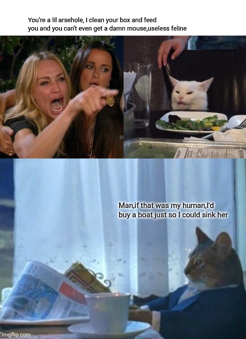 You're a lil arsehole, I clean your box and feed you and you can't even get a damn mouse,useless feline; Man,if that was my human,I'd buy a boat just so I could sink her | image tagged in memes,woman yelling at cat,i should buy a boat cat | made w/ Imgflip meme maker
