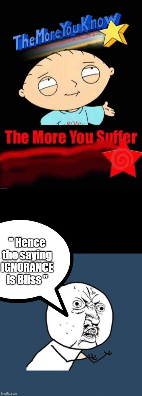 " Hence the saying IGNORANCE is Bliss " | image tagged in memes,y u no | made w/ Imgflip meme maker