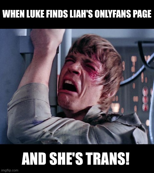 luke nooooo | WHEN LUKE FINDS LIAH'S ONLYFANS PAGE; AND SHE'S TRANS! | image tagged in luke nooooo | made w/ Imgflip meme maker