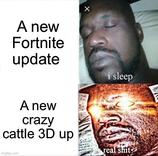 For real | A new Fortnite update; A new crazy cattle 3D update | image tagged in memes,sleeping shaq | made w/ Imgflip meme maker
