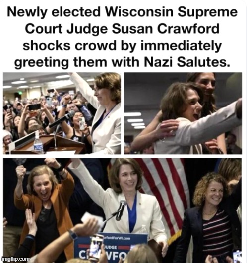 If Elon Musk is guilty (dumb Democrats), she must be, too! | image tagged in i did nazi that coming,nazi,salute,democrats,dumb | made w/ Imgflip meme maker