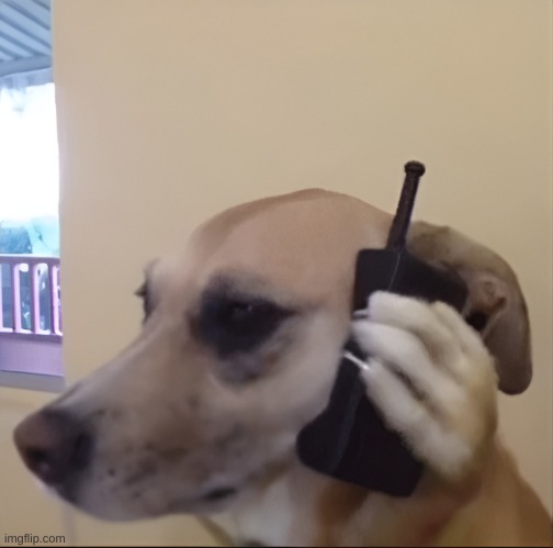 image tagged in aight bet dog | made w/ Imgflip meme maker