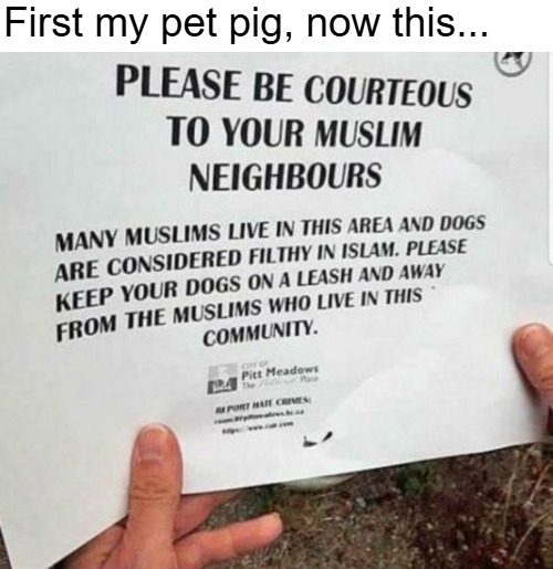 First my pet pig, now this... | image tagged in islam,dogs,pets | made w/ Imgflip meme maker