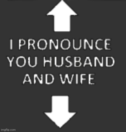 I pronounce you husband and wife | image tagged in i pronounce you husband and wife | made w/ Imgflip meme maker