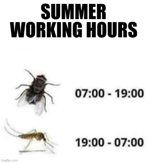 The Summer Working Hours Meme | image tagged in memes,meme,summer,oh no | made w/ Imgflip meme maker