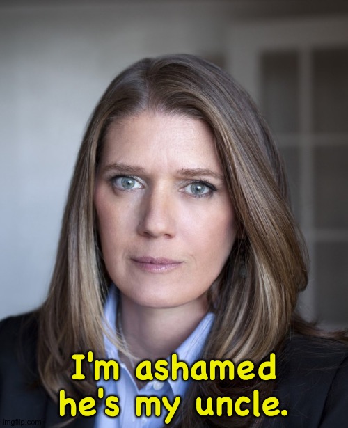 Mary Trump | I'm ashamed he's my uncle. | image tagged in mary trump | made w/ Imgflip meme maker