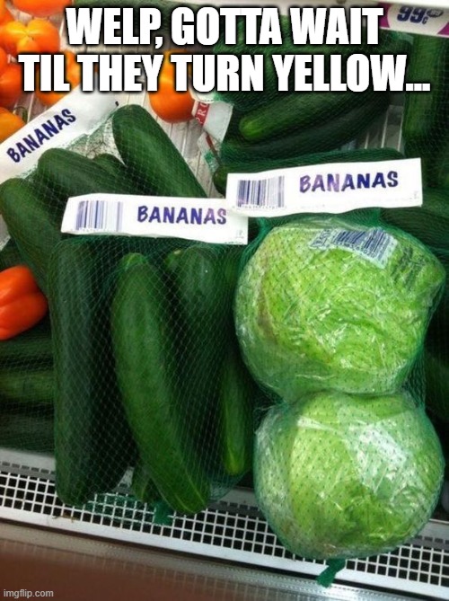 Bananas | WELP, GOTTA WAIT TIL THEY TURN YELLOW... | image tagged in you had one job | made w/ Imgflip meme maker