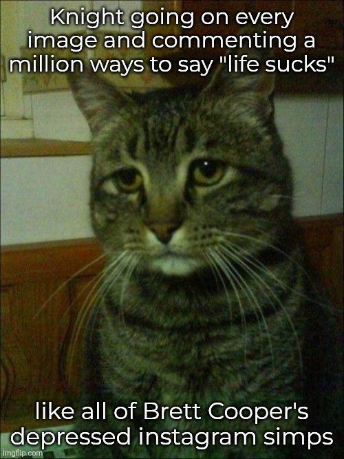Lmao | Knight going on every image and commenting a million ways to say "life sucks"; like all of Brett Cooper's depressed instagram simps | image tagged in memes,depressed cat | made w/ Imgflip meme maker