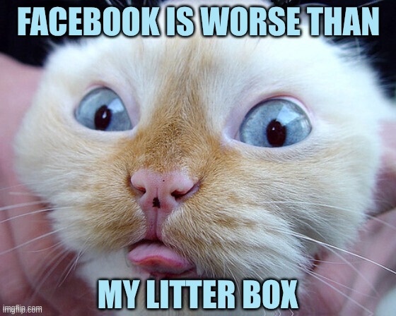 I need to leave facebook | FACEBOOK IS WORSE THAN; MY LITTER BOX | image tagged in cat,litter box,facebook,diarrhea,criminals,darpa | made w/ Imgflip meme maker