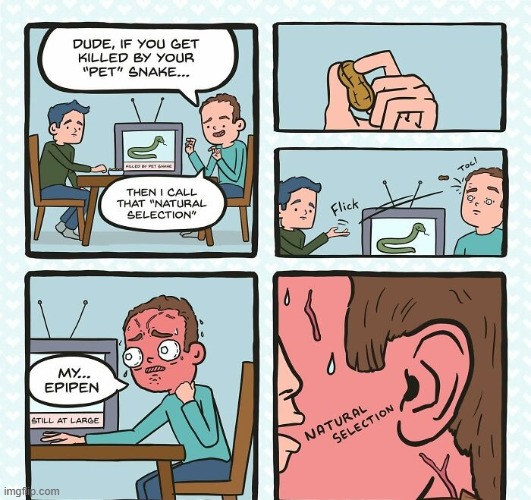 Natural Selection | image tagged in comics | made w/ Imgflip meme maker