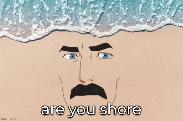 Are You Shore | are you shore | image tagged in are you shore | made w/ Imgflip meme maker