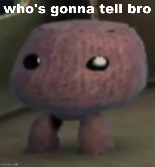 sackboy | who's gonna tell bro | image tagged in sackboy | made w/ Imgflip meme maker