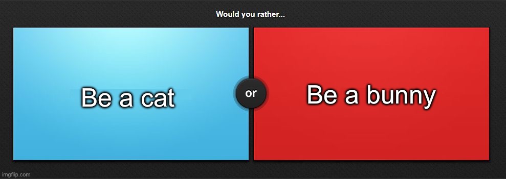 Would you rather | Be a bunny; Be a cat | image tagged in would you rather,msmg | made w/ Imgflip meme maker