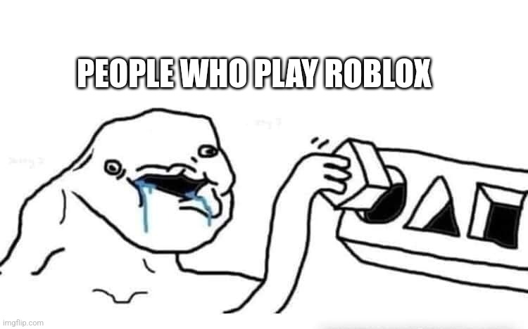PEOPLE WHO PLAY ROBLOX | image tagged in stupid dumb drooling puzzle | made w/ Imgflip meme maker