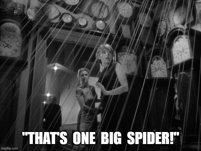 Big One | "THAT'S  ONE  BIG  SPIDER!" | image tagged in spider | made w/ Imgflip meme maker