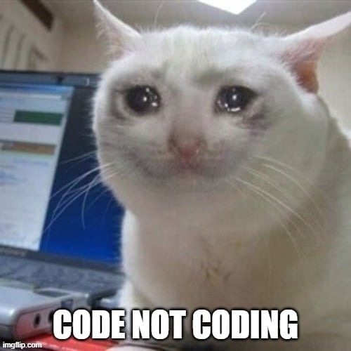 Sad coding cat | image tagged in coding,computer sci,sad cat,university | made w/ Imgflip meme maker