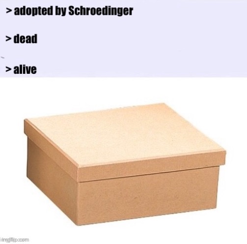 schroedingers cat | image tagged in fun | made w/ Imgflip meme maker
